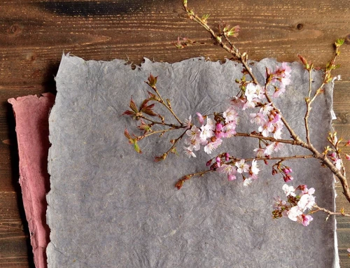 Nouvelle carte été 2024